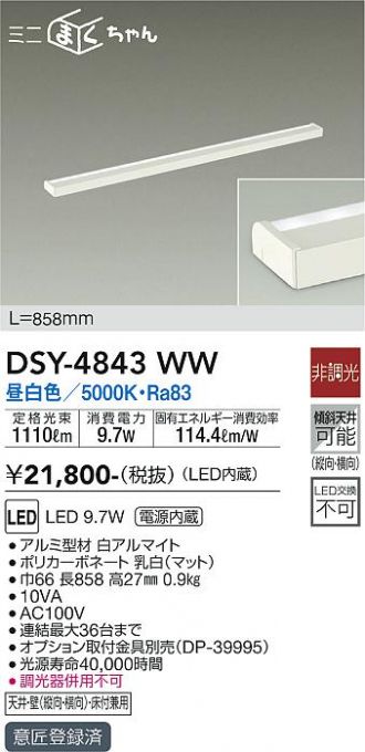 DSY-4843WW