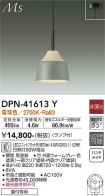 DPN-41613Y