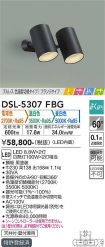 DSL-5307FBG