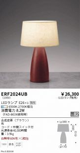 ERF2024UB