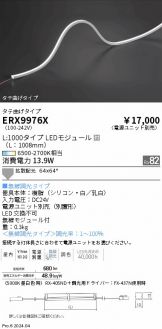 ERX9976X