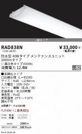 RAD838N