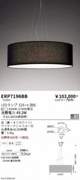 ERP7196BB