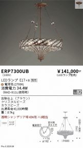 ERP7300UB