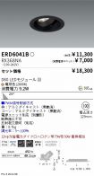 ERD6041B-...