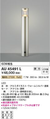 AU45491L