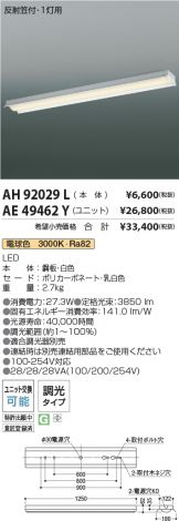 AH92029L-AE49462Y