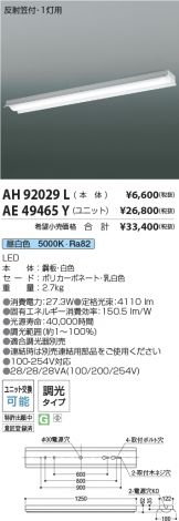 AH92029L-AE49465Y