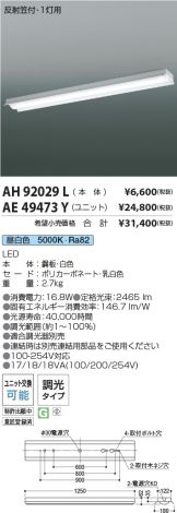 AH92029L-AE49473Y