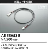 AE55953E