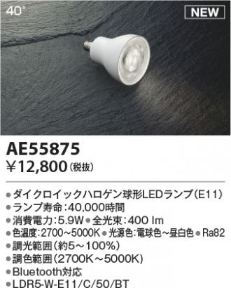 AE55875