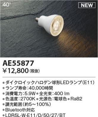 AE55877