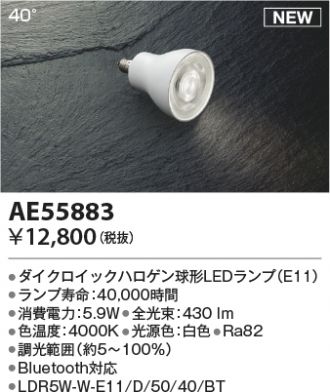 AE55883