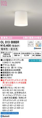 OL013006BR