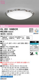 OL251169BCR