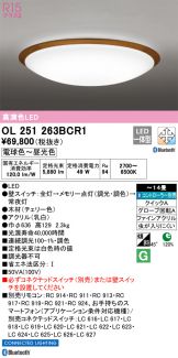 OL251263BCR1