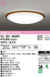 OL251263R1