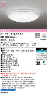 OL251618BCR1