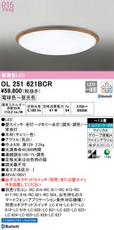 OL251621BCR