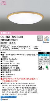 OL251623BCR