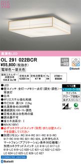 OL291022BCR