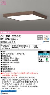 OL291520BR