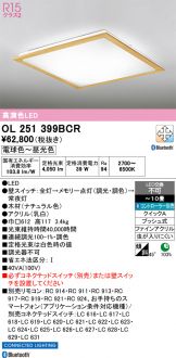 OL251399BCR