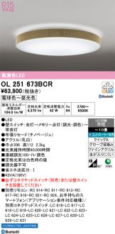 OL251673BCR