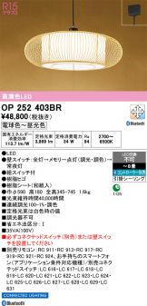 OP252403BR