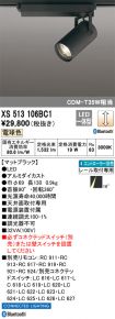 XS513106BC1