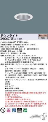 XND0607SFLG1