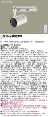 NTN91003W