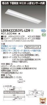 LEKR422253YL-LD9